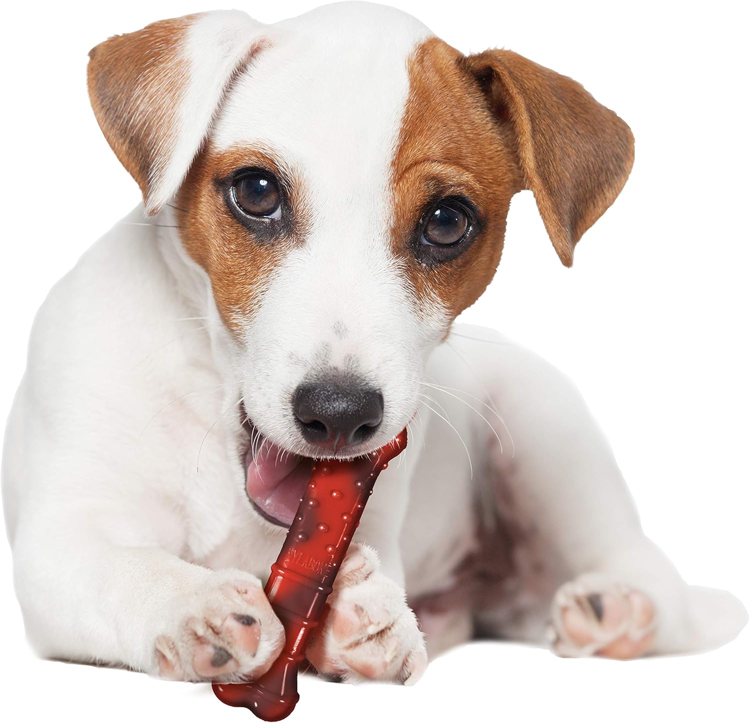 Nylabone Flavor Frenzy Power Chew – Juguete masticable para perros sabor carne seca, tamaño pequeñoregular, 1pieza