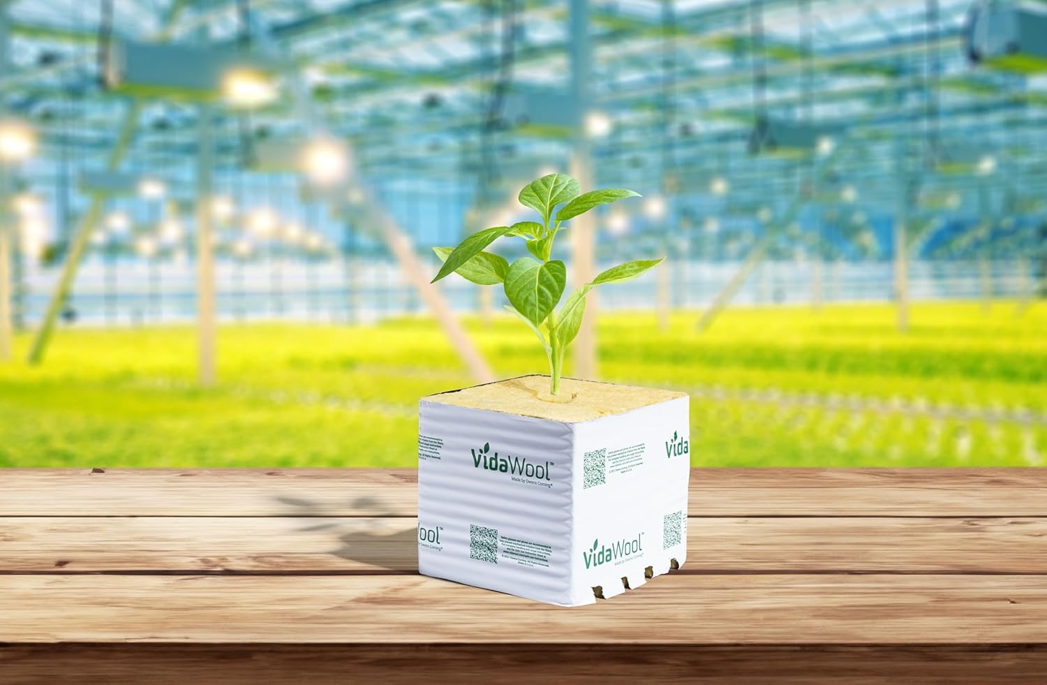VidaWool Bloques de 6 pulgadas, sistema de cultivo hidropónico, cubos de cultivo para principiantes de plantas, vainas hidropónicas, suministros de