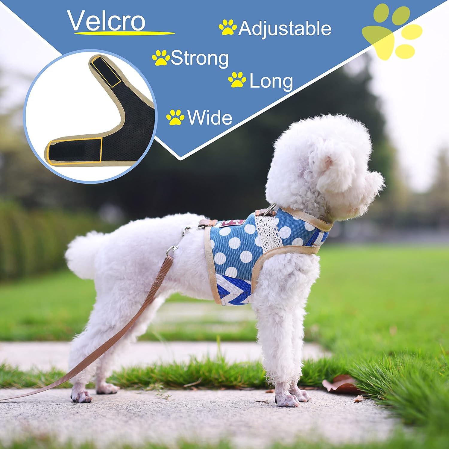 Teacup – Juego de arnés y correa para perro pequeño, chaleco acolchado suave ajustable para taza de té, chihuahua, caniche, yorike, maltés de menos