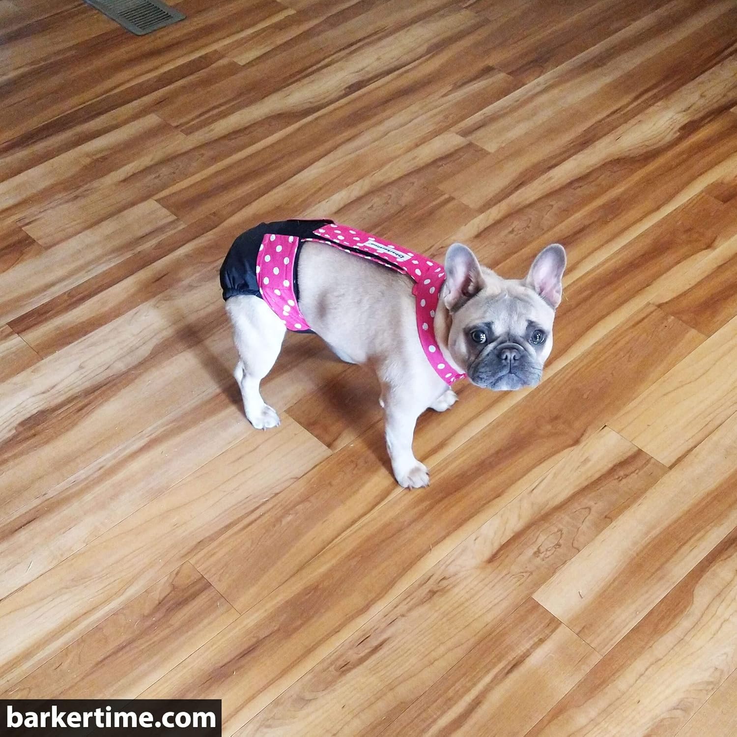 Pañal para perro de alta calidad, impermeable, a prueba de escapes, con lunares rosados sobre negro, talla M, sin agujero para la cola, fabricado en