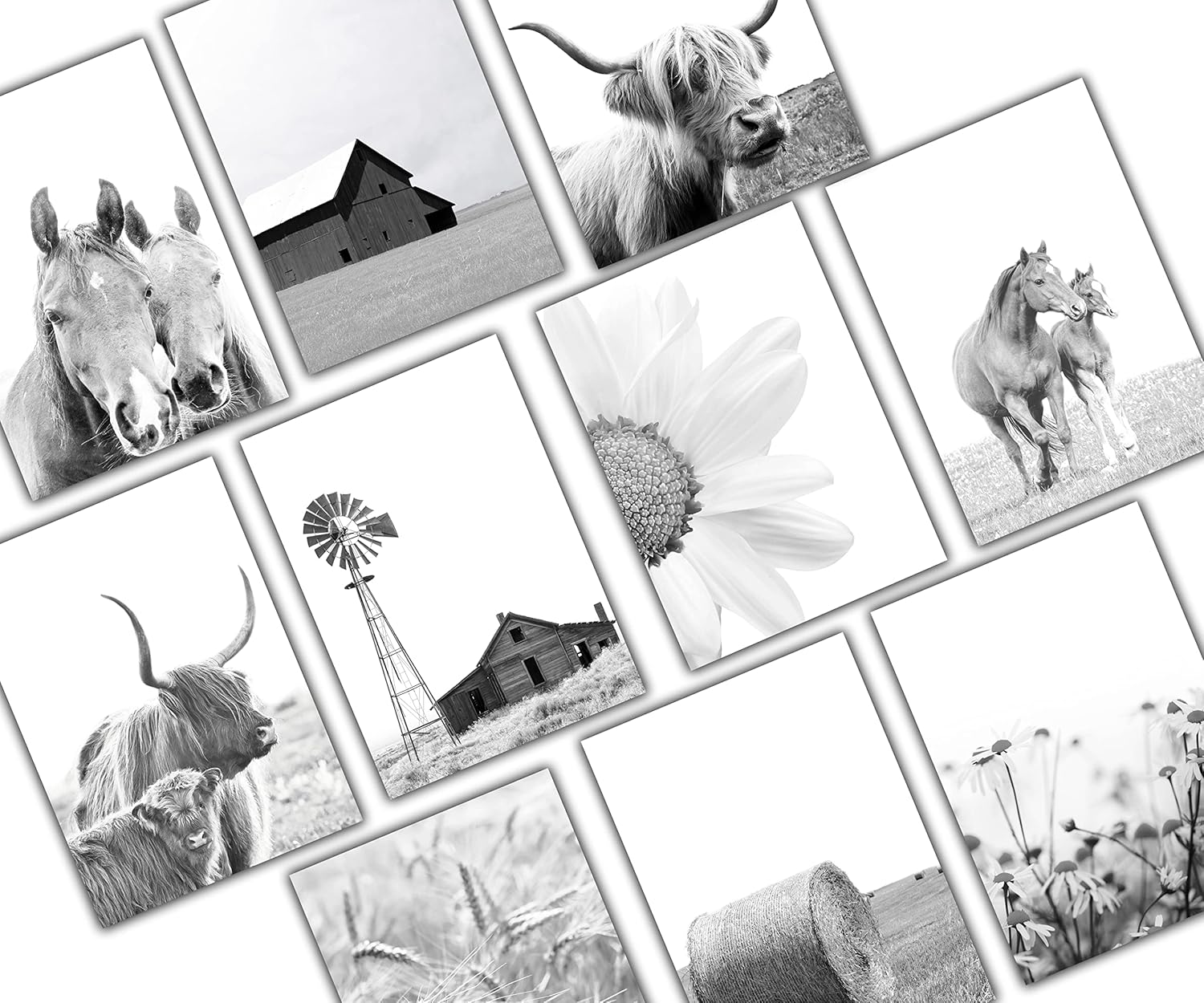 Modern Farmhouse Greeting Cards – Set of 10 All Occasion 5×7 Note Cards with Envelopes. Blank Inside. Assorted Black & White Photos including