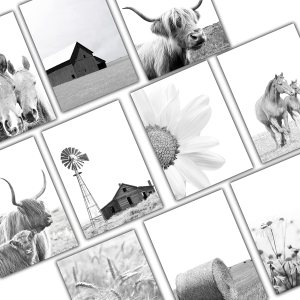 Modern Farmhouse Greeting Cards – Set of 10 All Occasion 5×7 Note Cards with Envelopes. Blank Inside. Assorted Black & White Photos including Modern Farmhouse Greeting Cards – Set of 10 All Occasion 5×7 Note Cards with Envelopes. Blank Inside. Assorted Black & White Photos including
