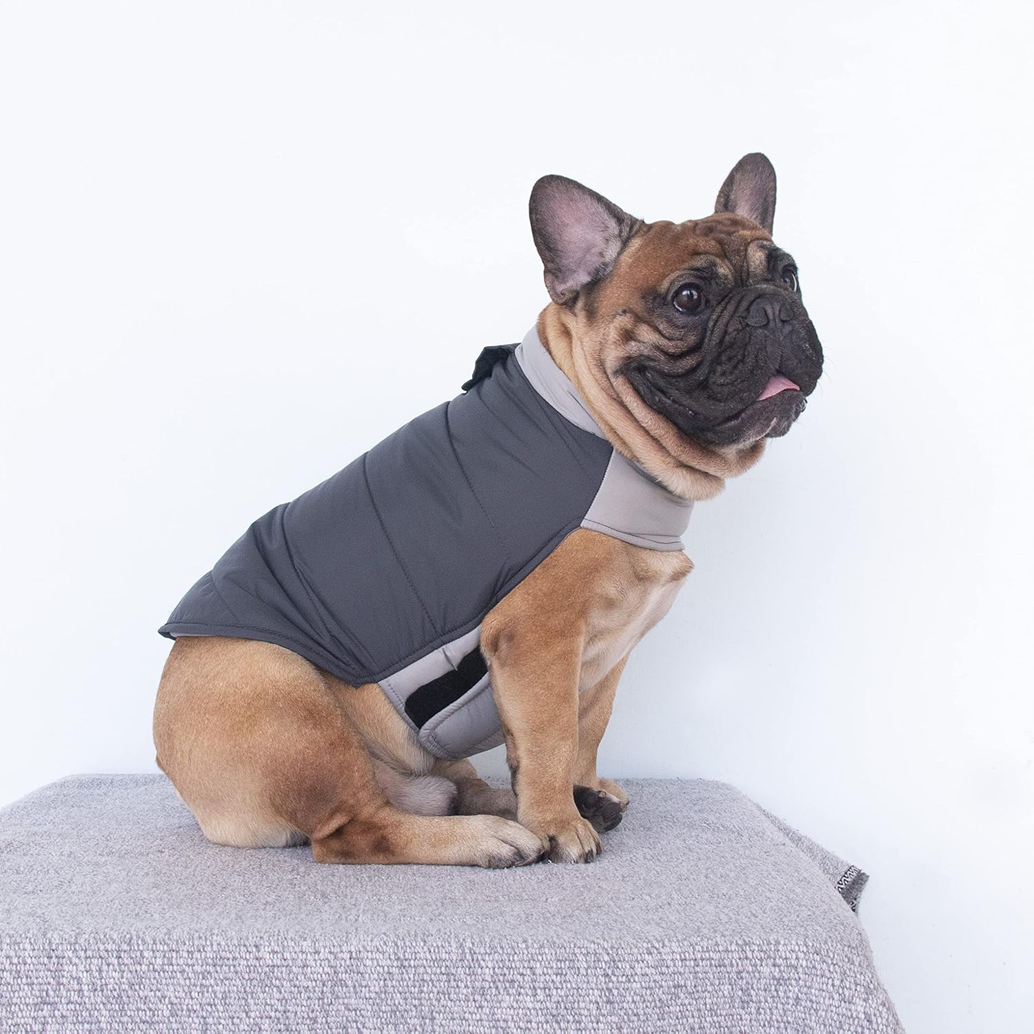 iChoue Abrigos de invierno de bulldog francés, chaquetas para perro, chalecos acolchados de algodón para Pug English Boston Terrier Pitbull –