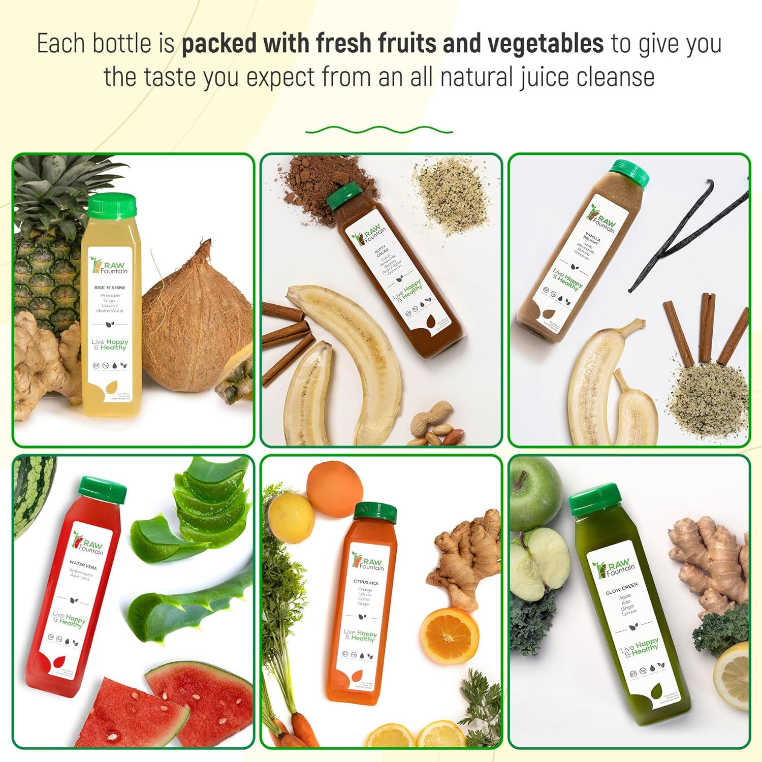 Raw Fountain, limpieza de jugo de proteína para 7 días, limpieza natural de desintoxicación cruda, frutas prensadas en frío, verduras, sabor