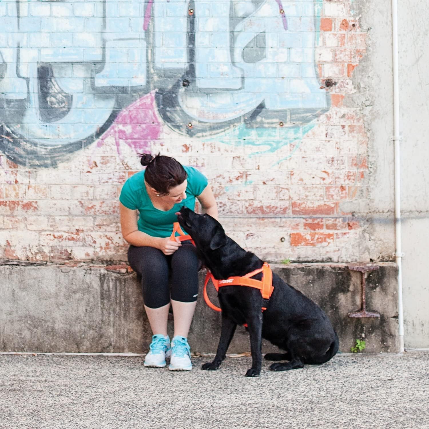 Arnés ajustable para perro de EzyDog, S, Anaranjado