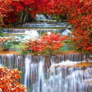 AOFOTO Telón de fondo de cascadas de 8 x 6 pies para fotografía de fondo de cascada, paisaje, naturaleza, viajes, hombre adulto, Retrato artístico, AOFOTO Telón de fondo de cascadas de 8 x 6 pies para fotografía de fondo de cascada, paisaje, naturaleza, viajes, hombre adulto, Retrato artístico,