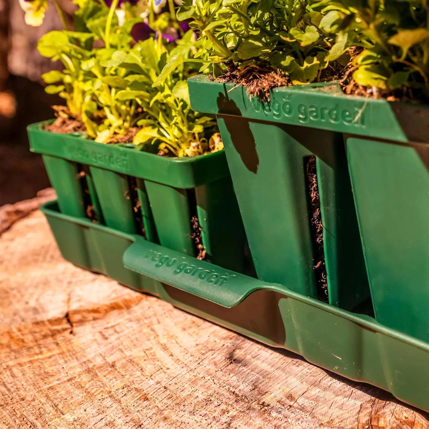 Vego garden Bandejas de riego inferiores para plantas de semillero, bandejas de plántulas de 10 x 10 pulgadas, paquete de 4