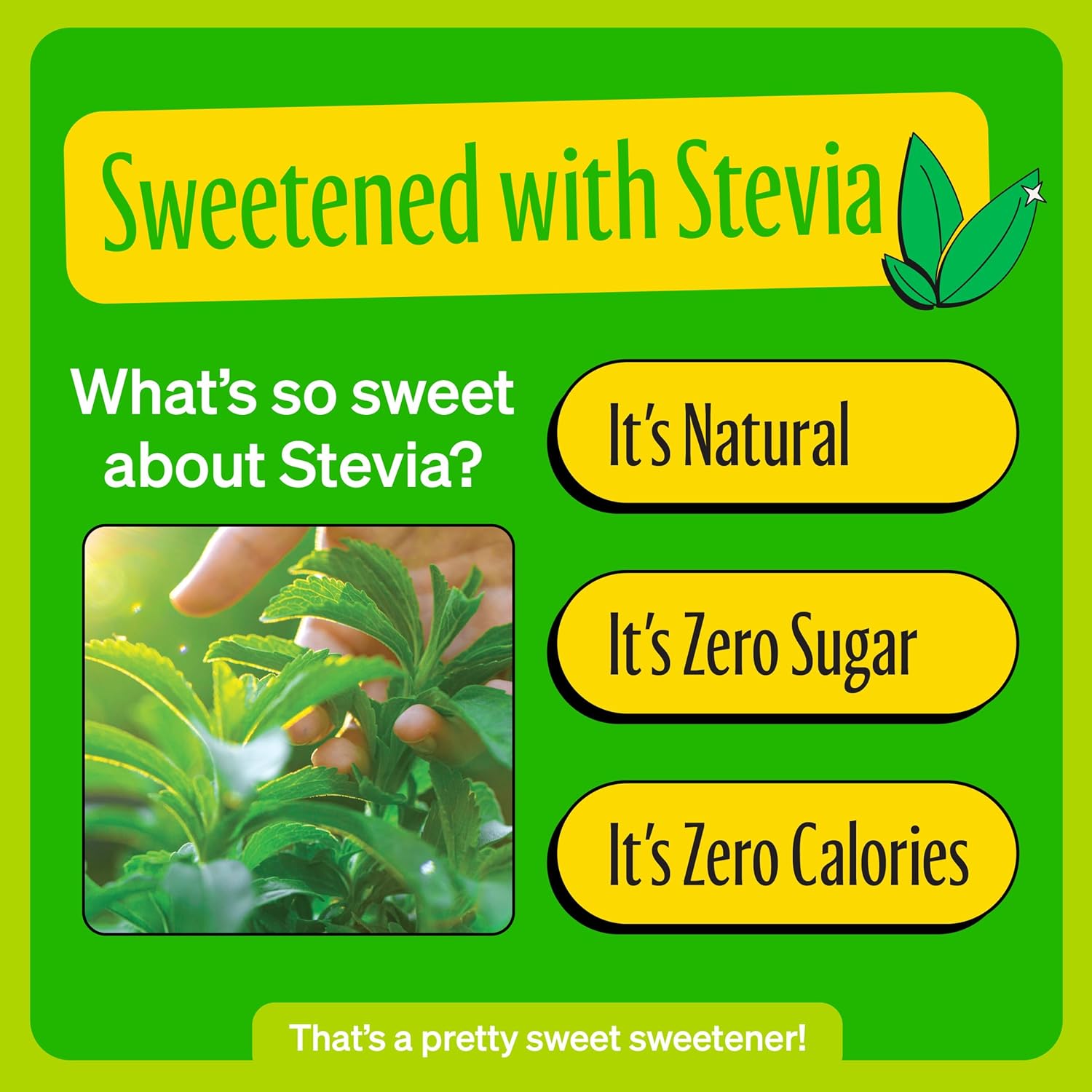 Zevia Soda Zero Calorie, Lemon Lime Twist, latas de 12 onzas (paquete de 6)