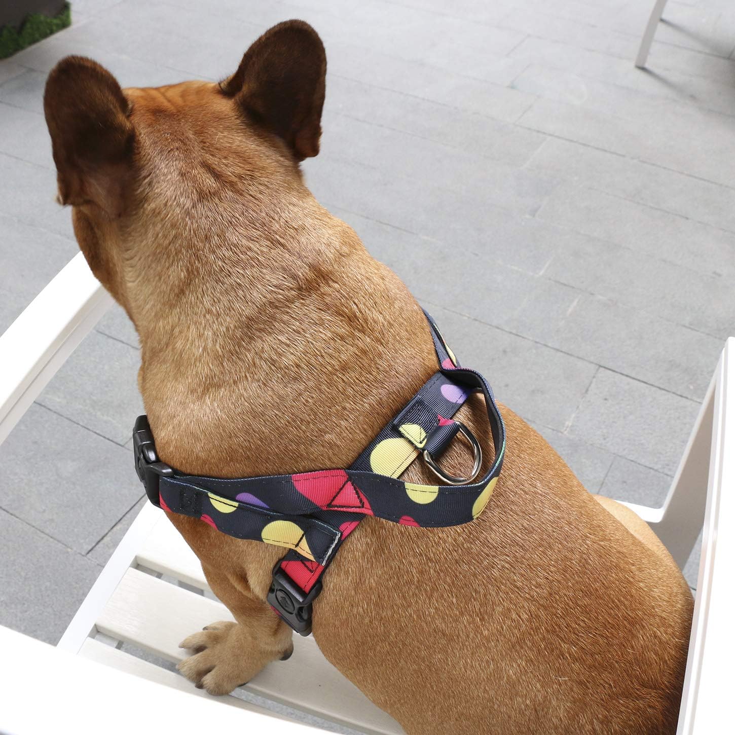 iChoue Arnés para perro, fácil de poner y quitar, arnés ajustable ligero con asa para perros pequeños y medianos, tamaño M