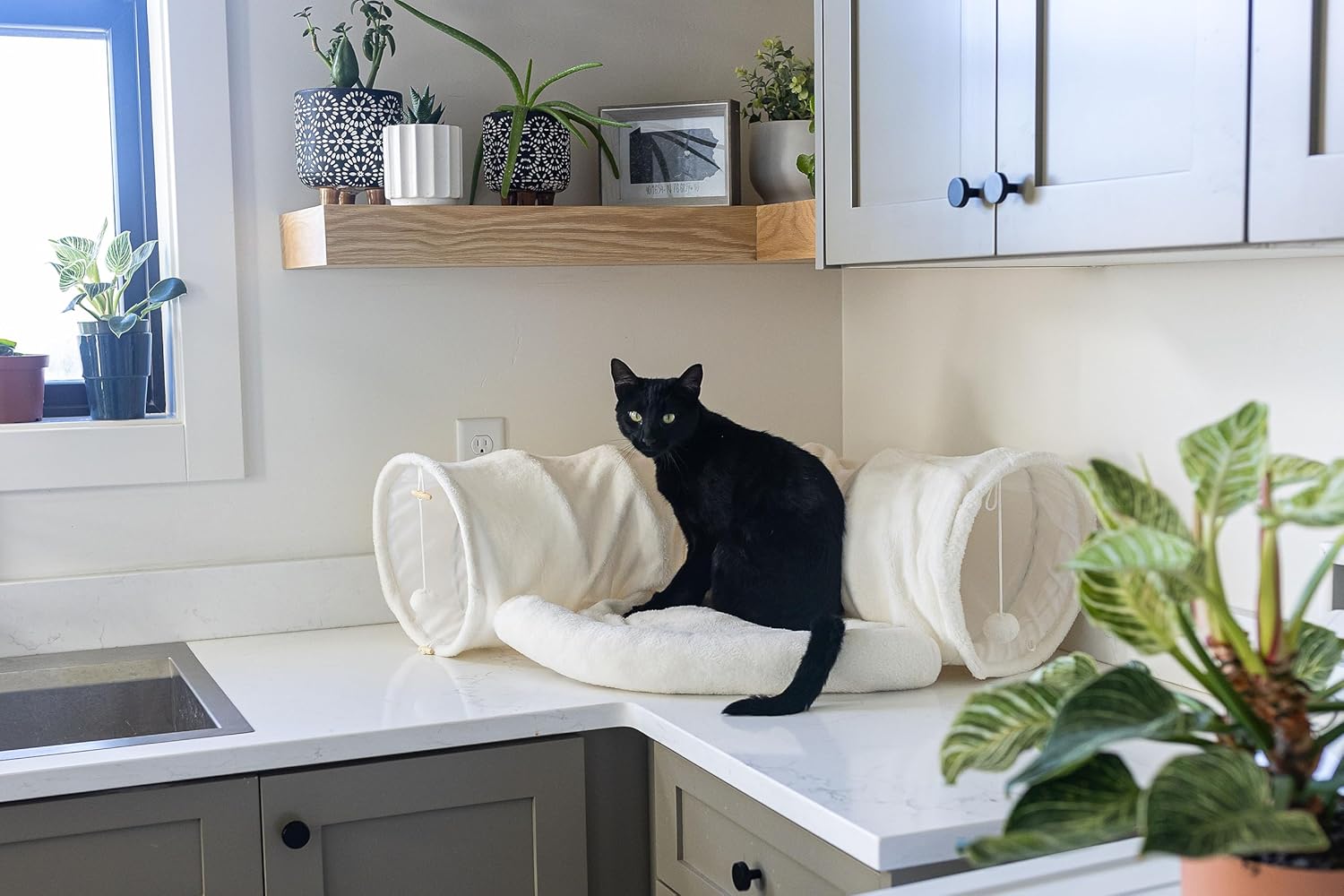 Juego de túnel y cama de juguete para gatos con cama de felpa extraíble para uso en interiores perfecto para gatos, perros y hurones juguetes para