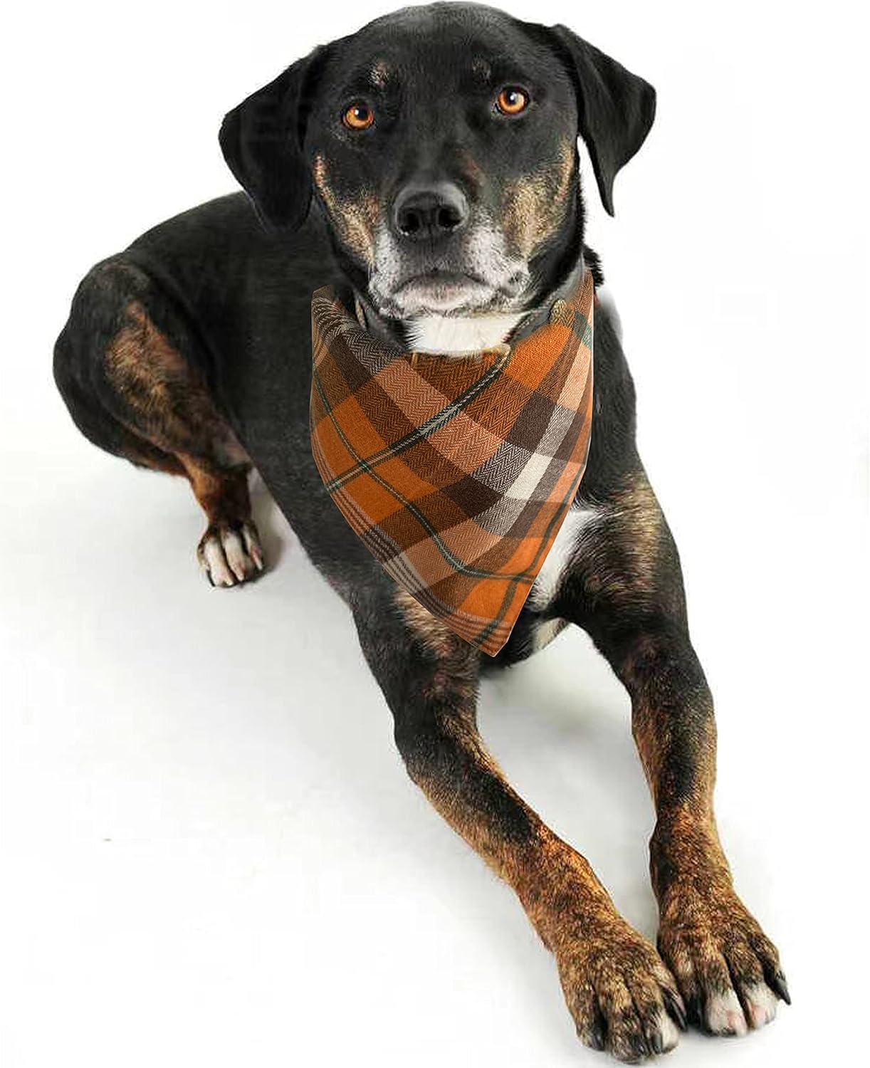 Realeaf Bandanas de otoño para perros de Acción de Gracias, paquete de 2, bufanda naranja a cuadros para mascotas para niños y niñas, tela duradera