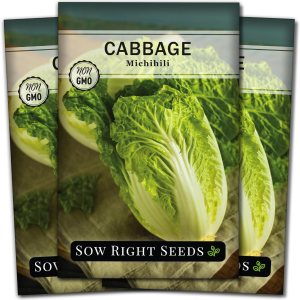Sow Right Seeds – Semilla de repollo Michihili Napa para plantar – Paquete de reliquia sin OMG con instrucciones para plantar un huerto doméstico al Sow Right Seeds – Semilla de repollo Michihili Napa para plantar – Paquete de reliquia sin OMG con instrucciones para plantar un huerto doméstico al