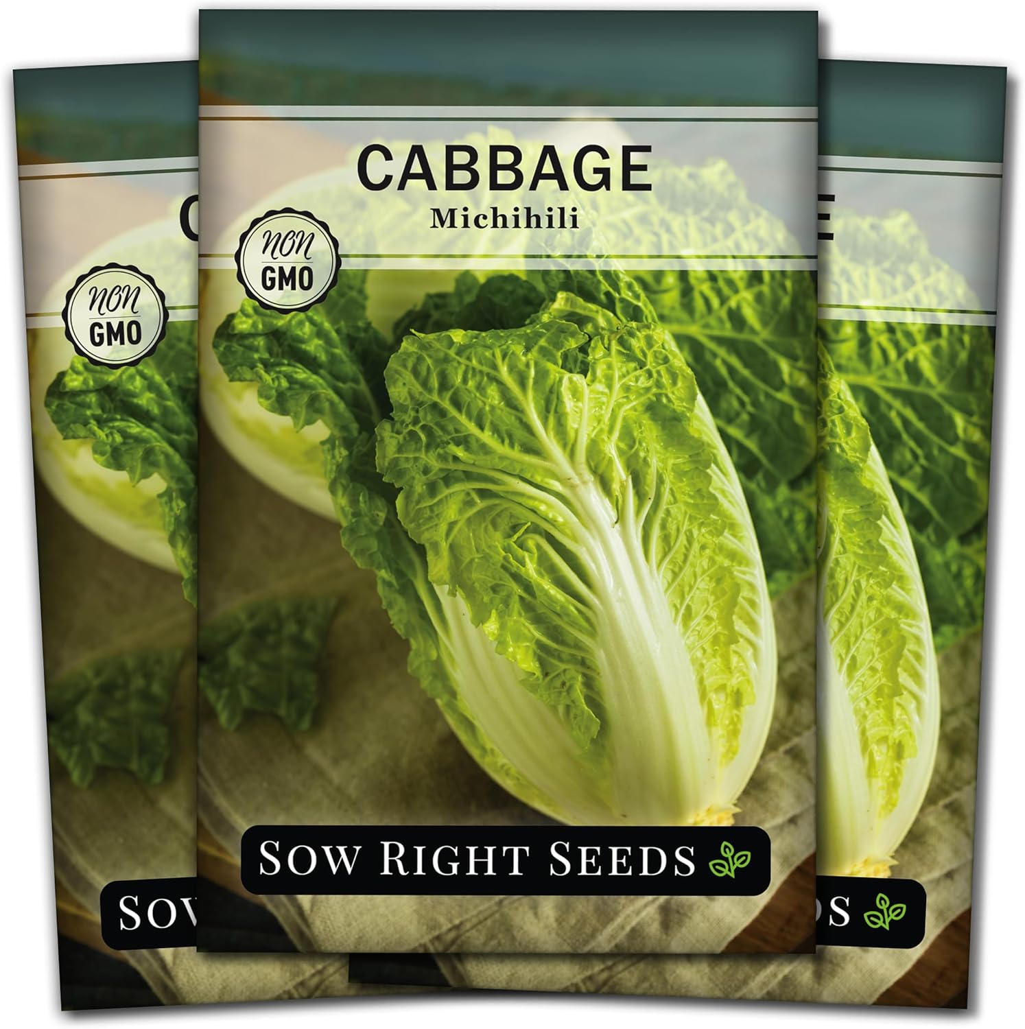 Sow Right Seeds – Semilla de repollo Michihili Napa para plantar – Paquete de reliquia sin OMG con instrucciones para plantar un huerto doméstico al