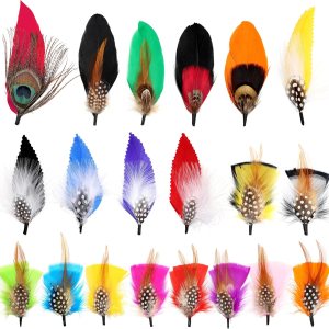 Plumas de sombrero 20 estilos surtidos de plumas para sombreros Fedora, accesorios coloridos de plumas reales para hombres y mujeres Plumas de sombrero 20 estilos surtidos de plumas para sombreros Fedora, accesorios coloridos de plumas reales para hombres y mujeres