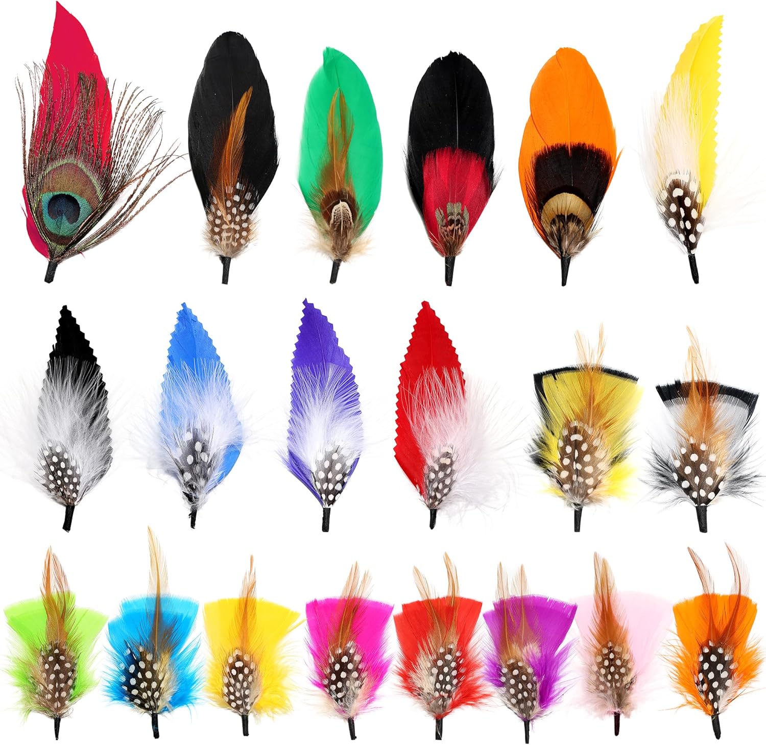 Plumas de sombrero 20 estilos surtidos de plumas para sombreros Fedora, accesorios coloridos de plumas reales para hombres y mujeres