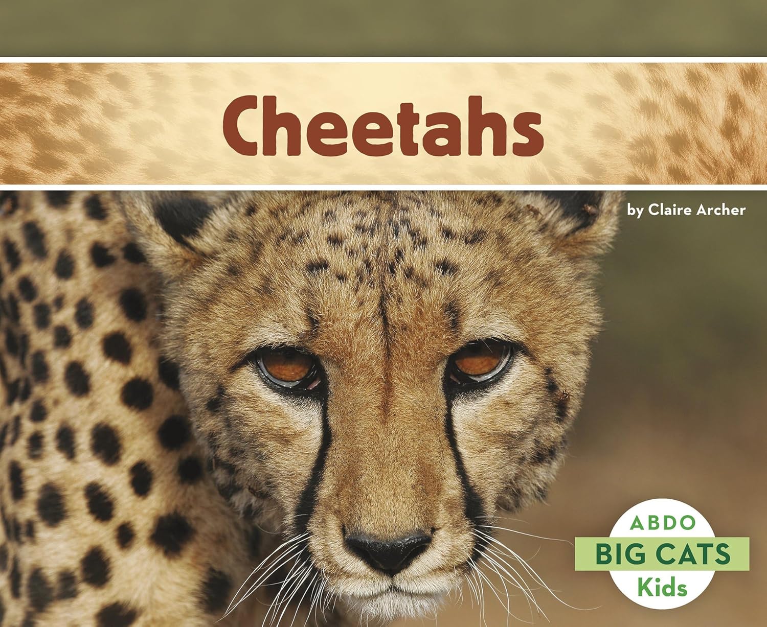 Paquete de lectura para principiantes de Wild Cats Explora el mundo de gatos, leones, jaguares, guepardos y leopardos – 4 libros atractivos para