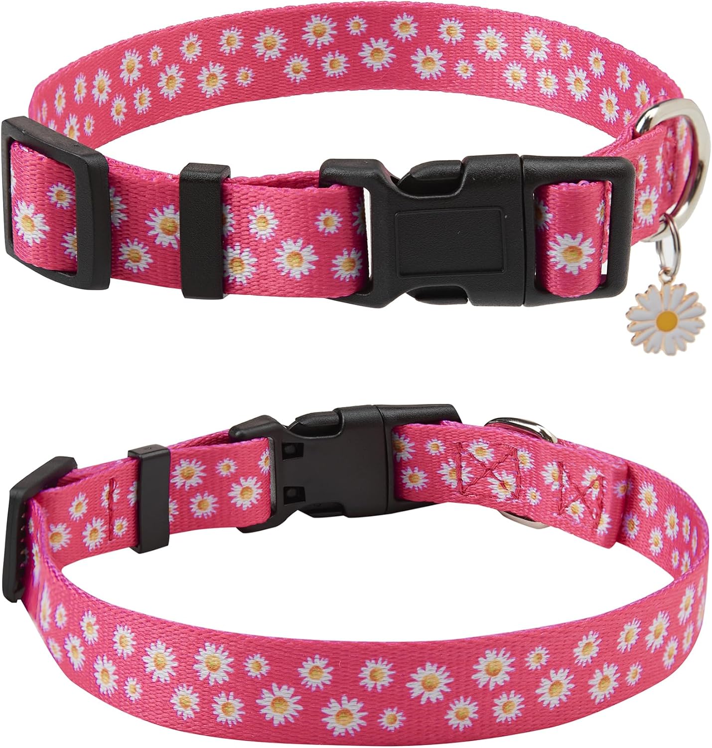 Lindo collar de perro para perros pequeños, collar de perro pequeño para hembras y machos, collares de perros niños y niñas, collar de perro de