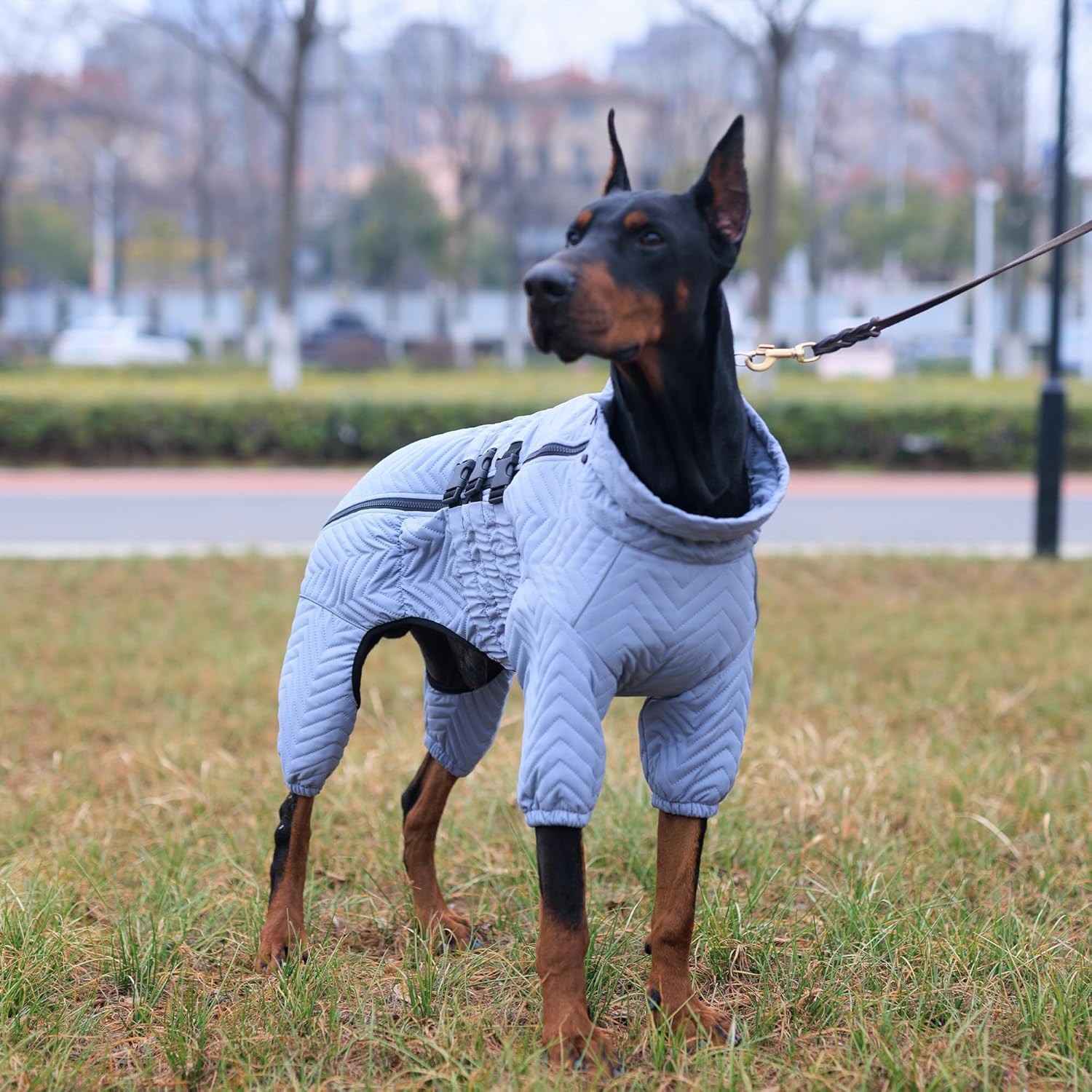 Abrigo cálido para perro, chaleco de doble capa para perro, 4 patas cubiertas, resistente al viento, impermeable, reflectante, chaleco cálido para