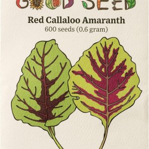 Red Callaloo – Semillas de amaranto  Paquete de 600 semillas de verduras certificadas orgánicas, sin OMG, polinizadas abiertas, sin tratar, para Red Callaloo – Semillas de amaranto  Paquete de 600 semillas de verduras certificadas orgánicas, sin OMG, polinizadas abiertas, sin tratar, para