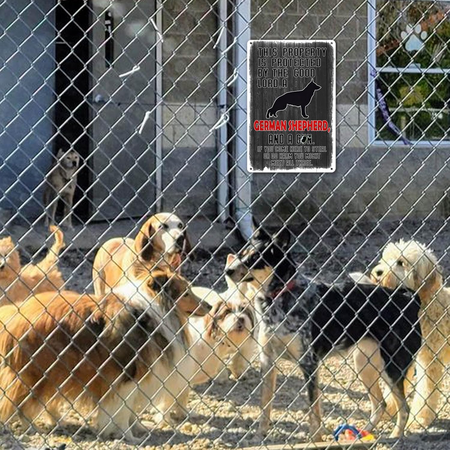 Letrero divertido con texto en inglés “Beware Of Dog” (Beware Of Dog) – Letrero de advertencia para cerca, letrero de hojalata para perro, con texto