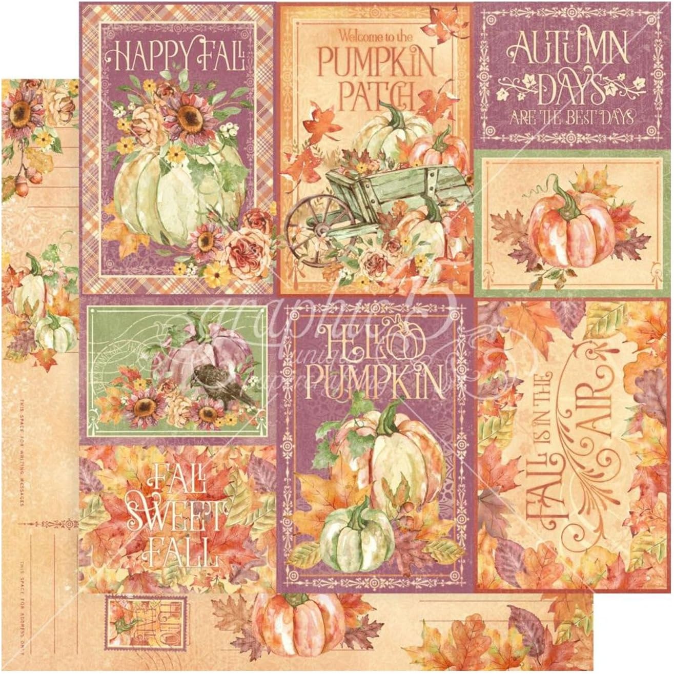 Graphic 45 Paquete de colección 12.0 x 12.0 in, Hello Pumpkin