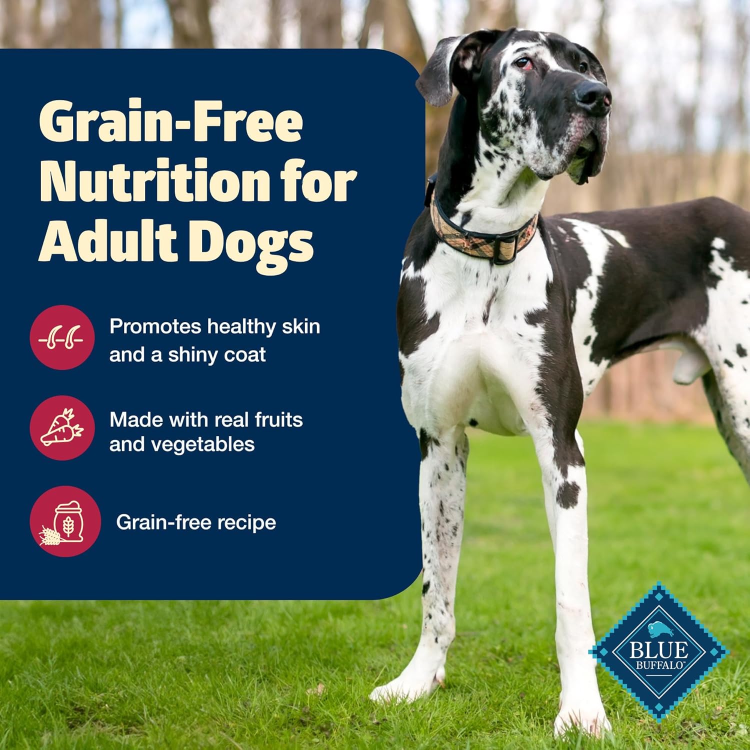 Blue Buffalo Freedom – Receta sin granos para perro, receta de carne de res, 4 libras