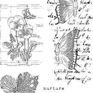 Juego de sellos transparentes 4 “X6” por Sam Poole-Faded Flora CEC1046 Juego de sellos transparentes 4 “X6” por Sam Poole-Faded Flora CEC1046