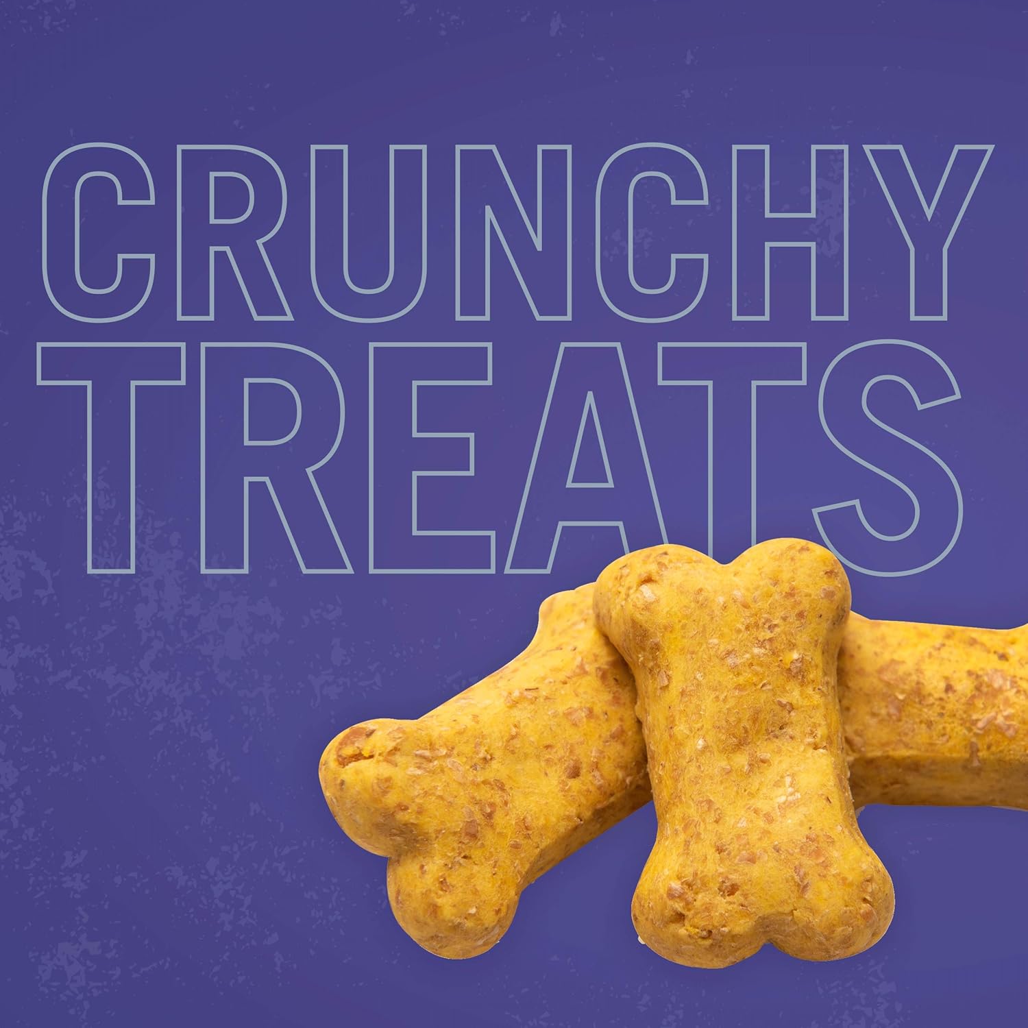 Three Dog Bakery Crunchy Itty Bitty Bones – Golosinas horneadas para perros, queso, 32 onzas