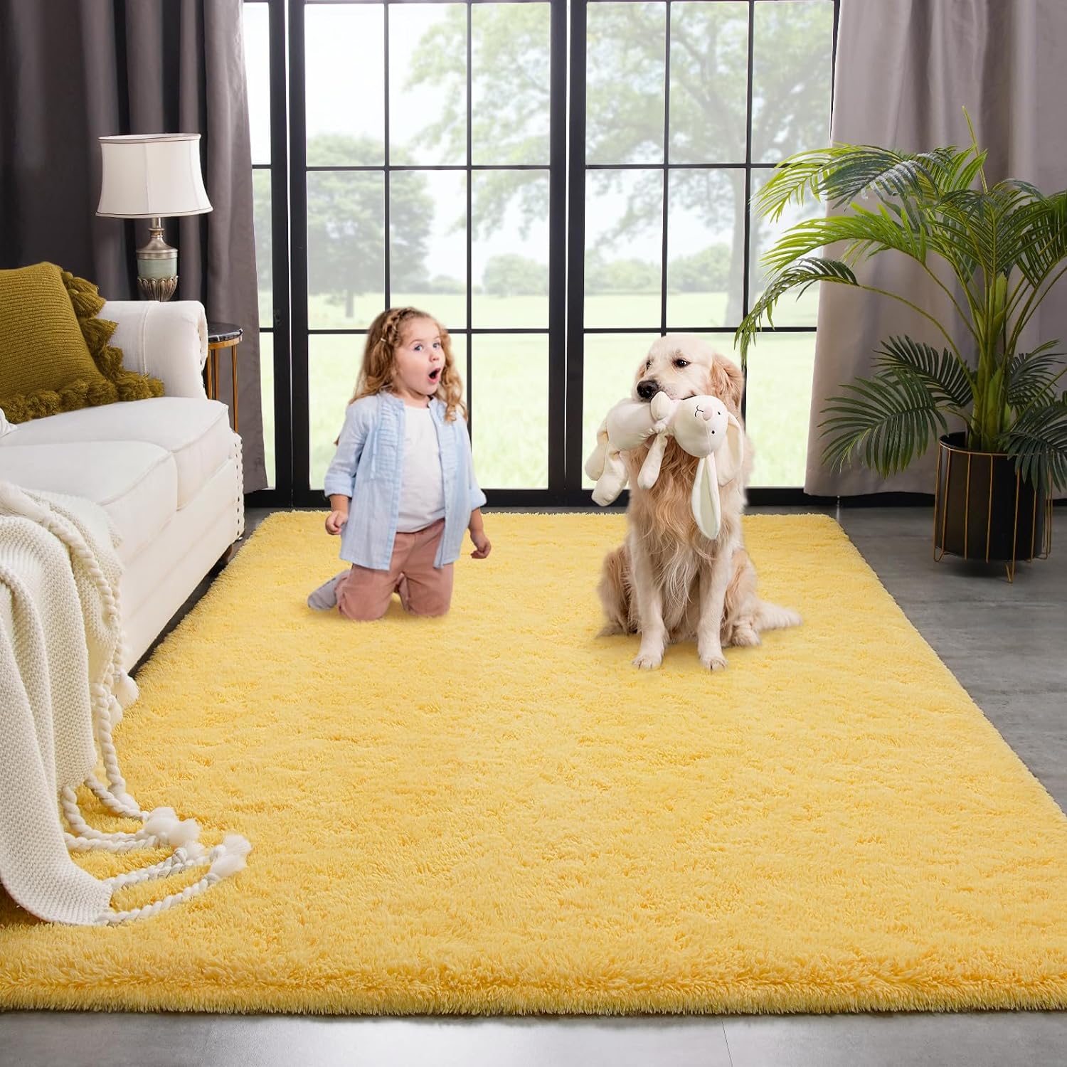 Kimicole Alfombra de área para dormitorio, sala de estar, decoración del hogar, alfombra mullida mejorada de 6 x 9 pies para apartamento,