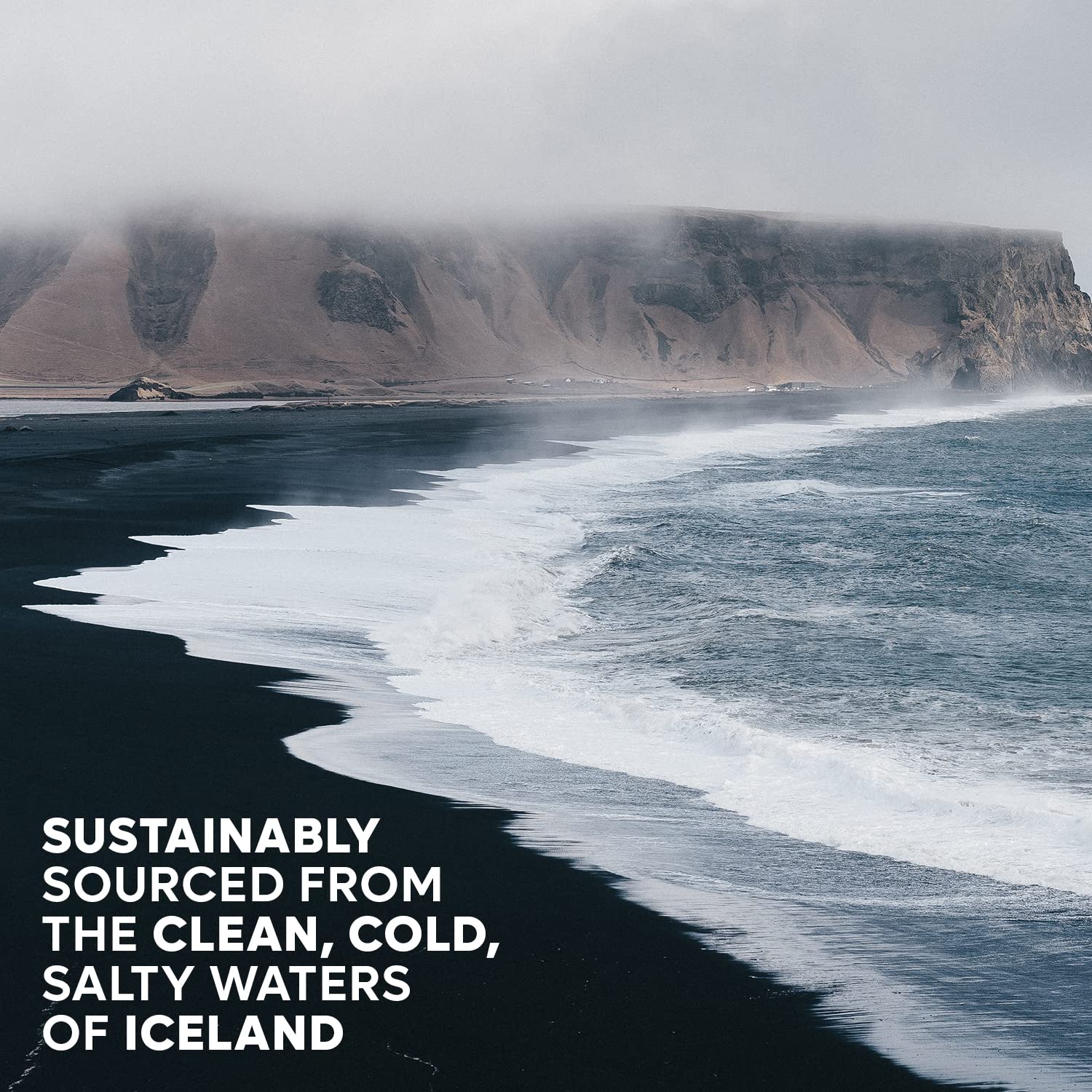 Sal marina islandesa  Sal marina saborizada hecha a mano, con todos los ingredientes naturales y sal escamosa pura de Islandia (ruibarbo angélica,
