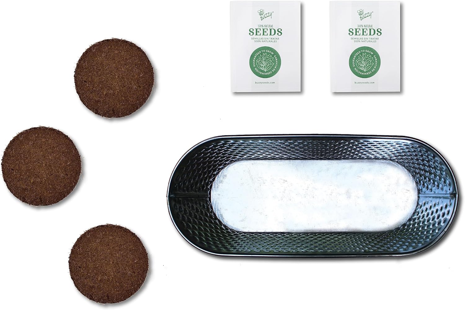 BUZZY Kit de maceta de cultivo para alféizar de ventana de hierbas navideñas, semillas de romero y salvia, los mejores regalos de jardinería,