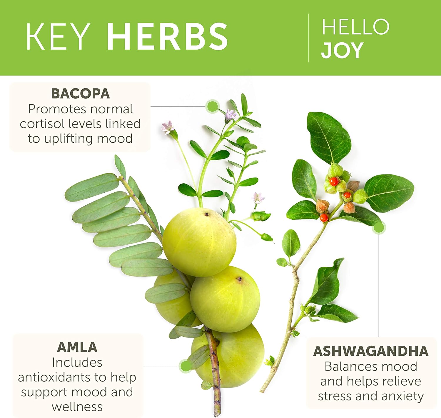 Himalaya Hello Joy con Ashwagandha para mejorar el estado de ánimo y los espíritus y Hello ZZZs con melatonina para apoyar el sueño, 60 cápsulas