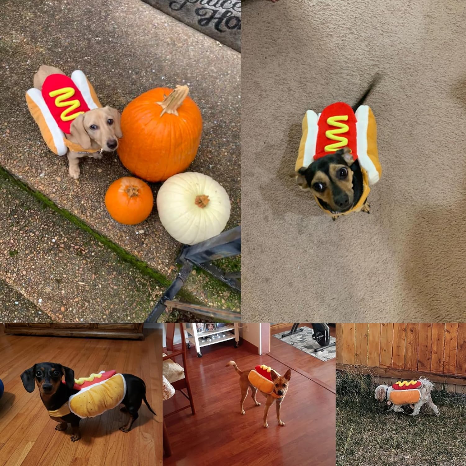 Disfraz de perro caliente para mascotas, comida divertida de Halloween, disfraces para mascotas, disfraz de fiesta de Halloween, disfraces