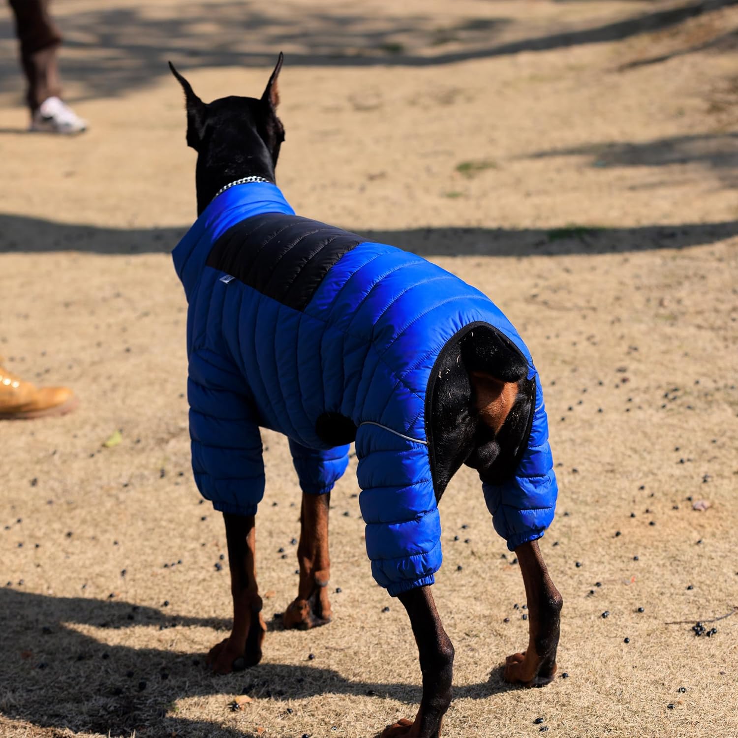 Abrigo para perro, chaqueta cálida para perro, 4 patas cubiertas, impermeable, resistente al viento, reflectante, chaleco cálido para perro, con