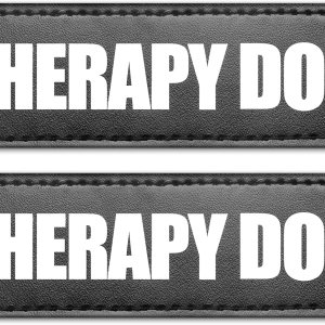 WINSEE Parches reflectantes para perros de servicio, parche de terapia para arnés de perro de servicio (paquete de 2, L) WINSEE Parches reflectantes para perros de servicio, parche de terapia para arnés de perro de servicio (paquete de 2, L)