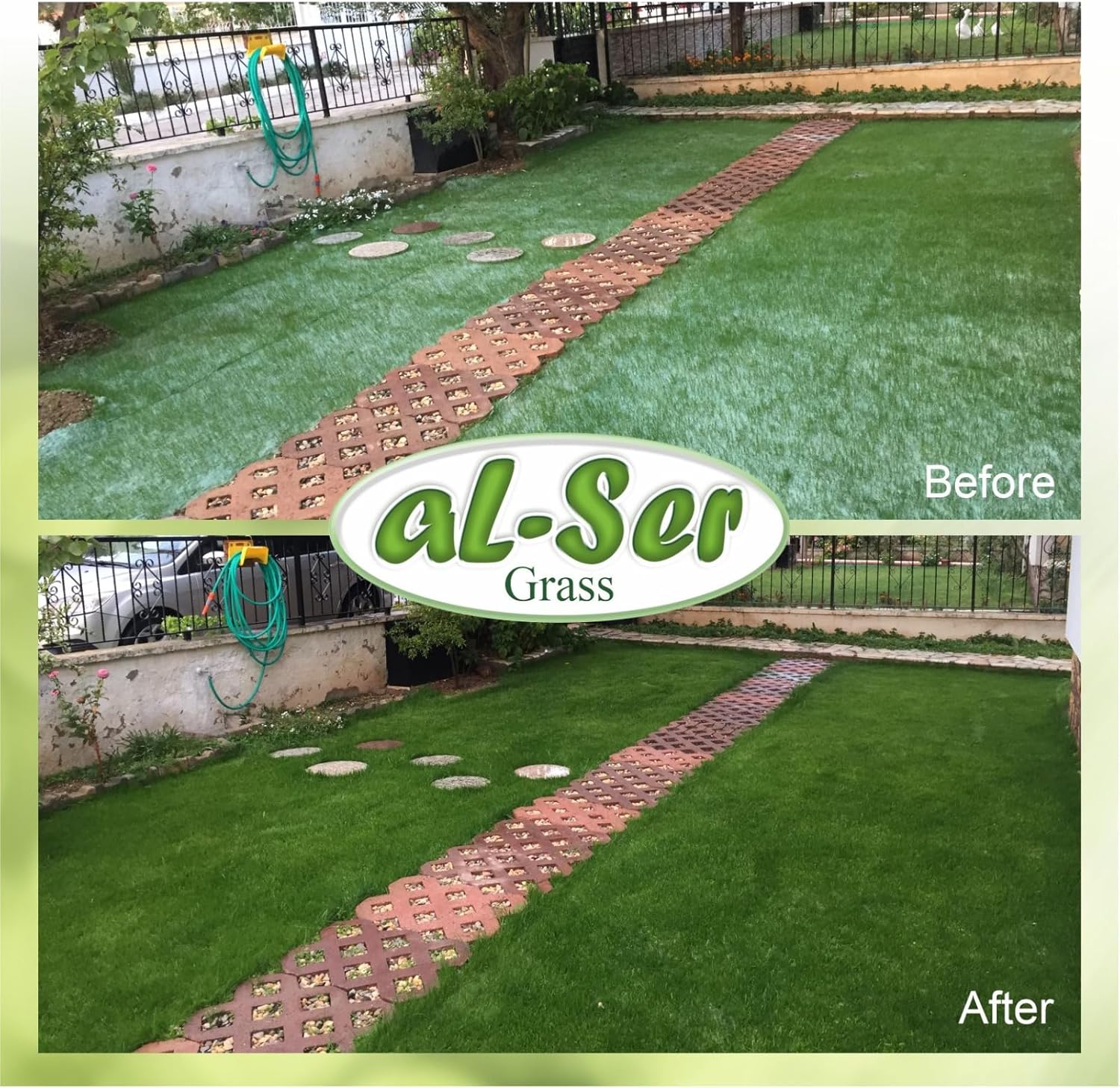 AL-SER – Tapete de semillas de césped biodegradable. Manta de semillas. Alfombra de semillas. Tómalo, colócalo en el suelo y riégalo. (10.76 pies