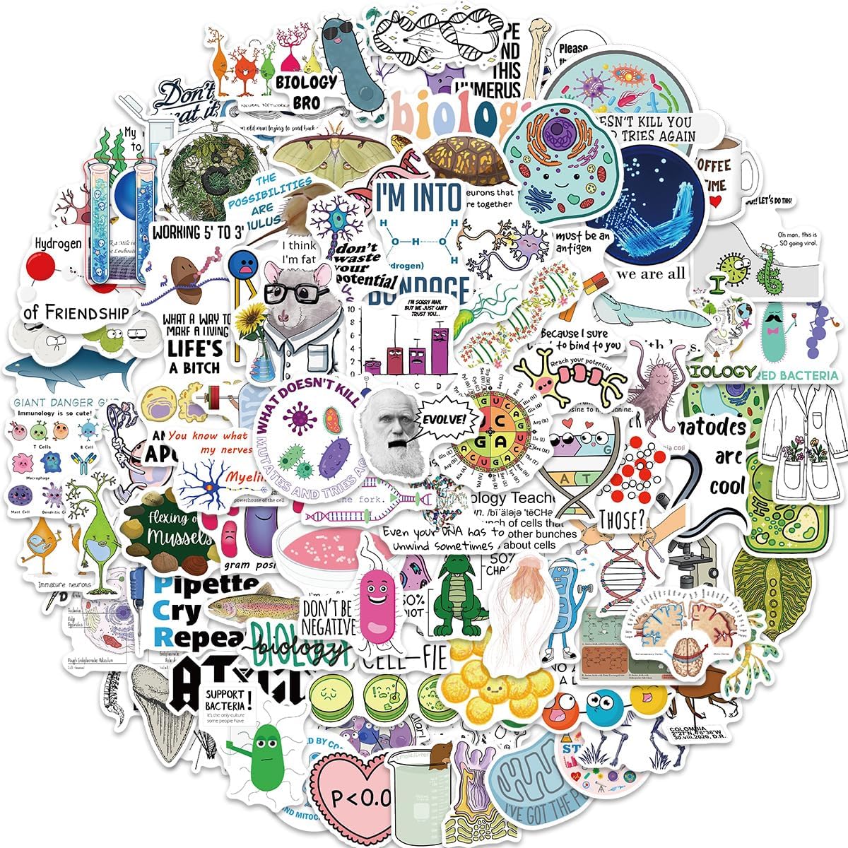 100 calcomanías impermeables divertidas de biología para botella de agua, laptop y cuaderno, lindas calcomanías de biología para profesores y