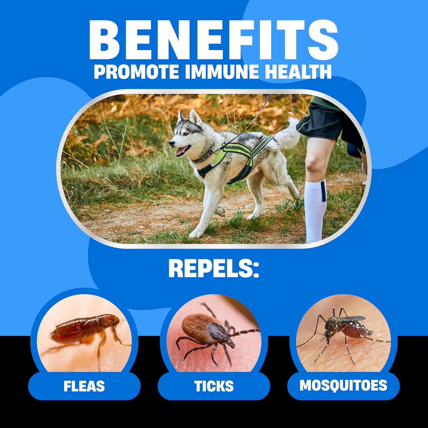 Prevención natural de pulgas y garrapatas para perros, tratamiento masticable para pulgas y garrapatas, tratamiento seguro contra pulgas para perros