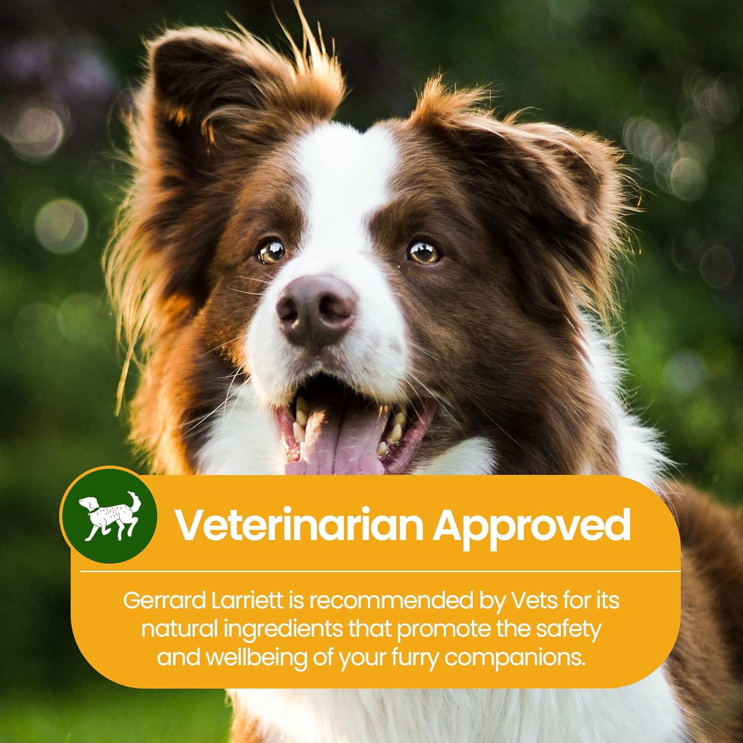 Gerrard Larriett – Ambientador natural de aliento para gatos y perros, rociador de limpieza de dientes de gato y perro con menta, aloe vera y