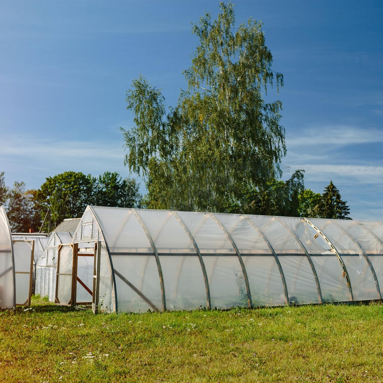 HCTWPY Película de invernadero de 25 x 40 pies, cubiertas de plástico para plantas de invernadero, protección contra la congelación, película