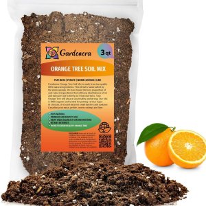 ‘s Premium Orange Tree – Mezcla de tierra para macetas de drenaje rápido para cultivar y trasplantar Citrus Sinensis – 3 cuartos de galón ‘s Premium Orange Tree – Mezcla de tierra para macetas de drenaje rápido para cultivar y trasplantar Citrus Sinensis – 3 cuartos de galón