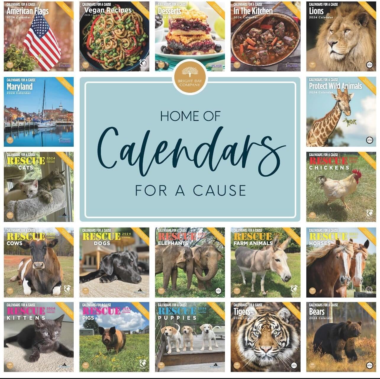 Bright Day – Calendario mensual de pared de recetas veganas 2024, calendarios por una causa, 12 x 12 pulgadas, embalaje sin plástico, regalo de