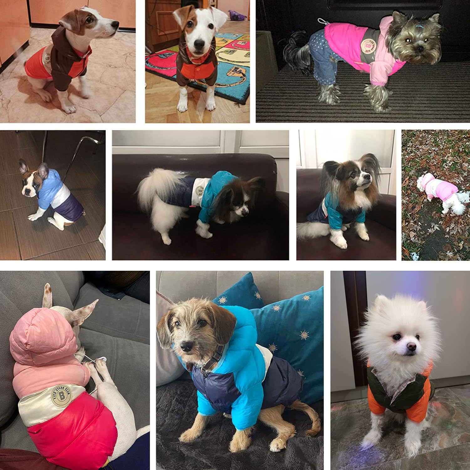 Chaleco de invierno para perros pequeños, niños y niñas, chaquetas de plumón para cachorros, sudadera con capucha para perrito, ropa de invierno