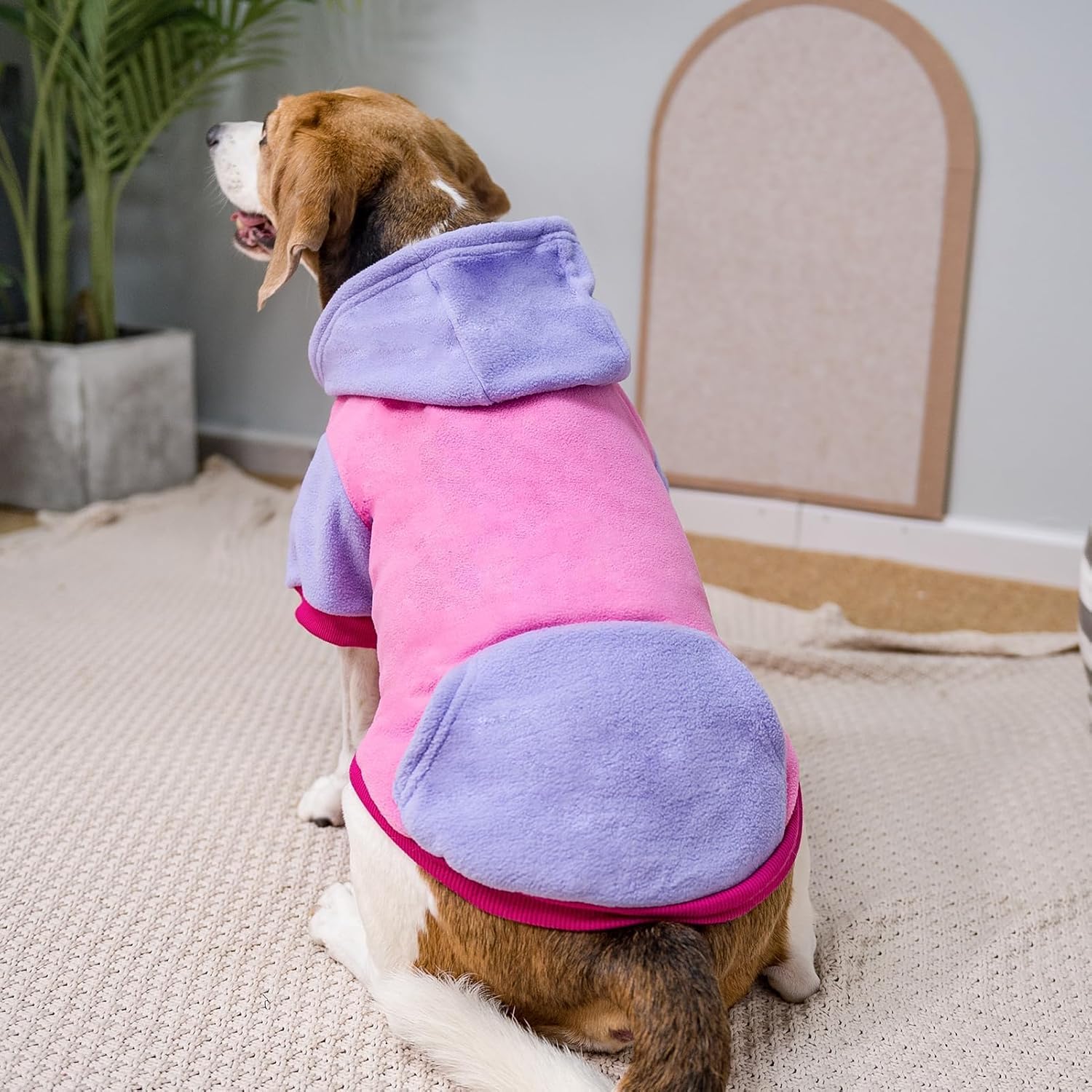 PUPTECK Sudadera de forro polar con capucha para perro, ropa suave y cálida con capucha para perros pequeños y medianos, para otoño e invierno,