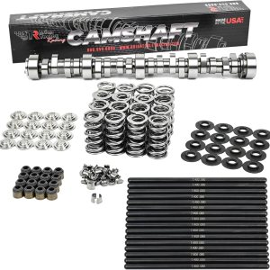 Brian Tooley Racing BTR LS1 Etapa 4 Árbol de levas de aspiración natural NA , resortes de válvula dobles LS (elevación de 0.660 pulgadas) con Brian Tooley Racing BTR LS1 Etapa 4 Árbol de levas de aspiración natural NA , resortes de válvula dobles LS (elevación de 0.660 pulgadas) con