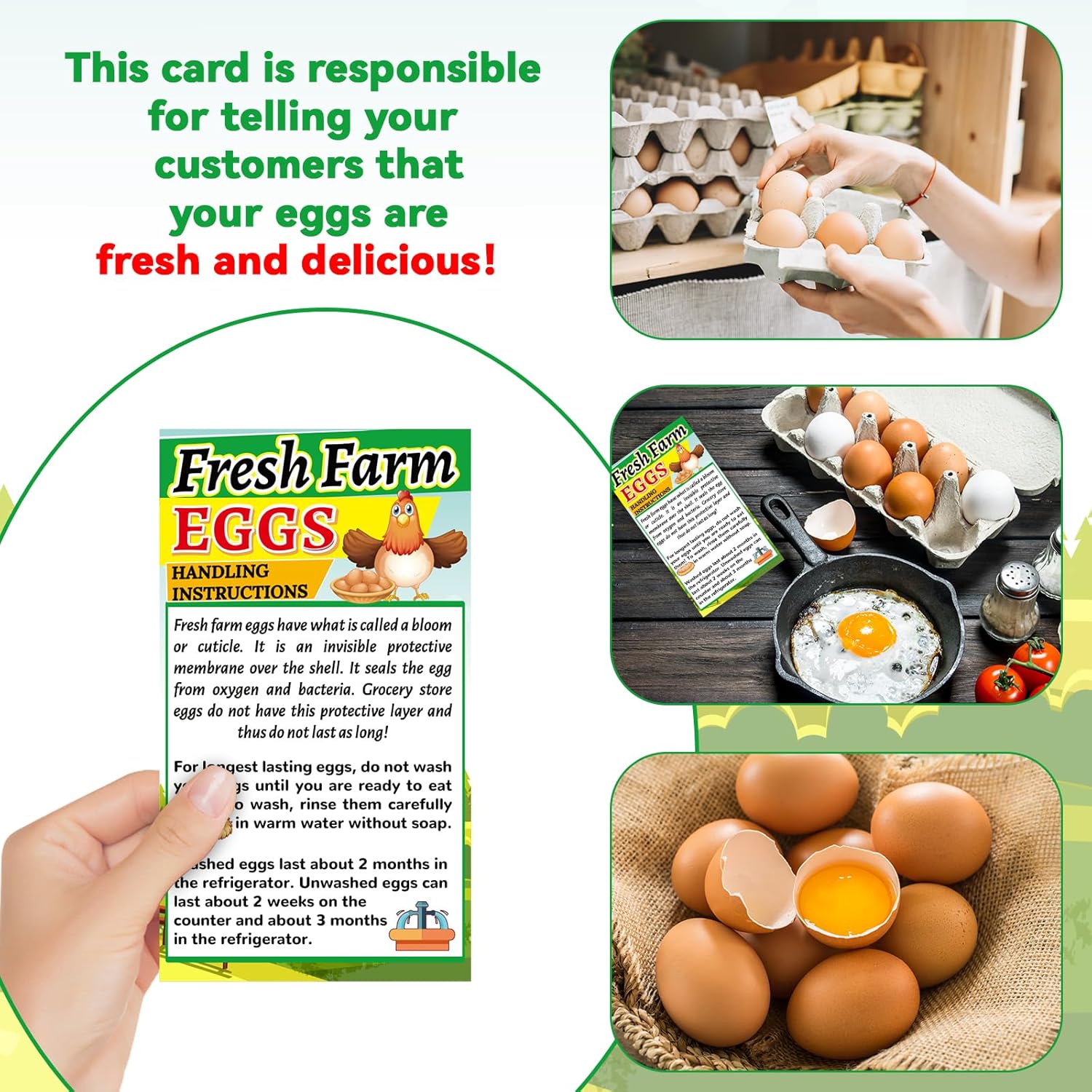 250 unidades de instrucciones de manejo de huevos frescos de granja de 2 x 3.5 pulgadas, tarjetas de visita, sellos de huevos, tarjetas de