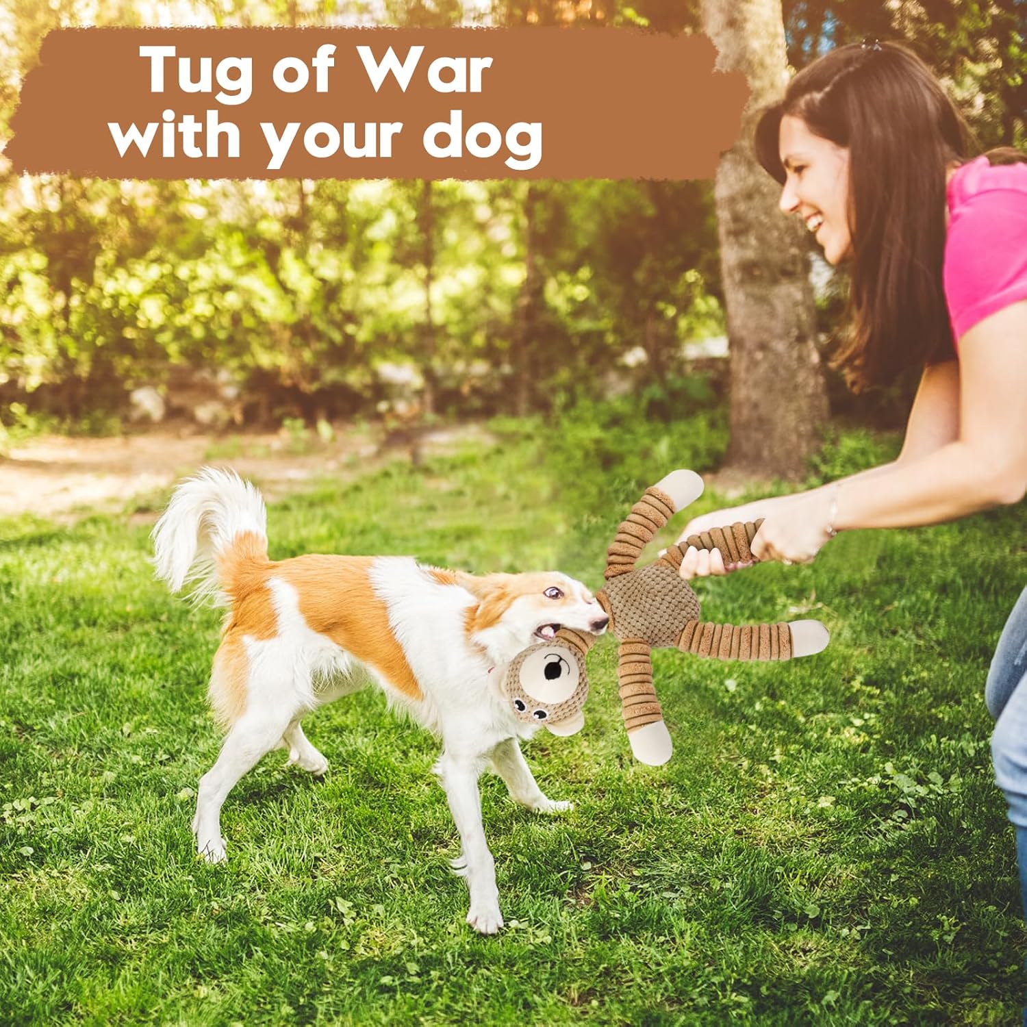 Juguetes de cuerda para perros, juguetes chirriantes para cachorros, perros pequeños, medianos y grandes, juguete de peluche de oso para perros,