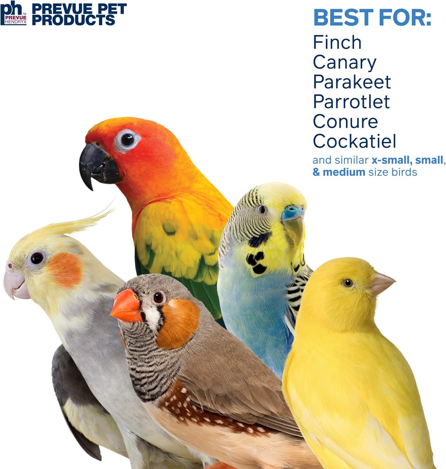 Pervue Pet Products Sonido y movimiento Miami Frost Bird Toy 62674