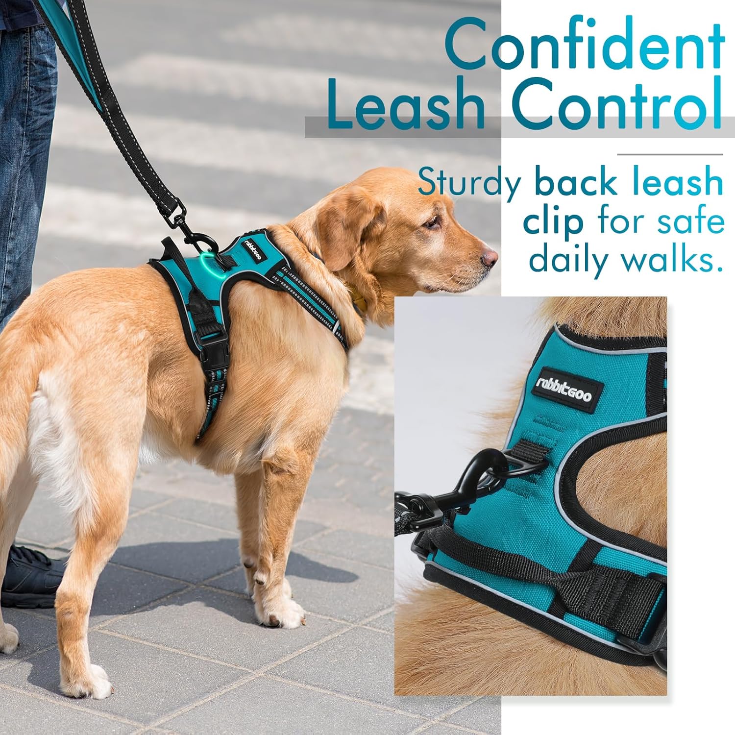 rabbitgoo Arnés para perro, arnés sin tirones para mascotas con 2 clips para correa, chaleco acolchado suave ajustable para perro, chaleco Oxford