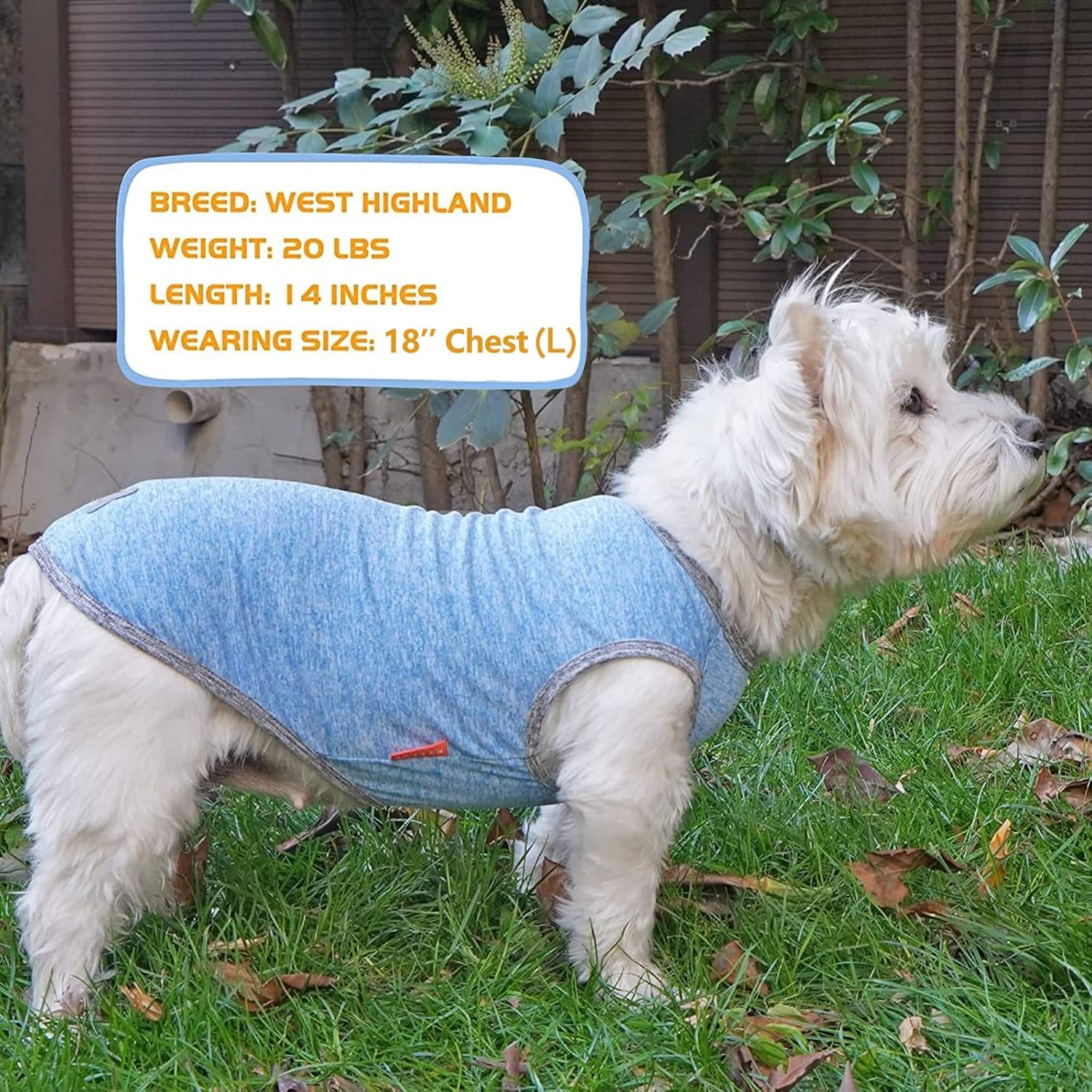 KYEESE Paquete de 2 camisas para perro, de secado rápido, suaves, elásticas, con etiqueta reflectante, camiseta sin mangas, chaleco de protección
